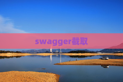 swagger截取